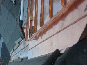 Argyll Copper Gullys3
