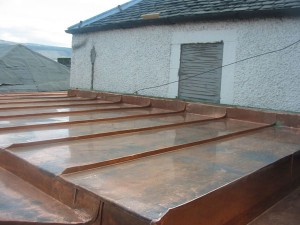 Argyll Copper Gullys14