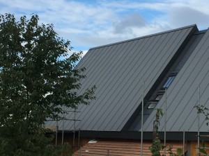 Ashton - Zinc Roof & Skylights8