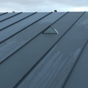 Stainless Steel Cills & Zinc Roof