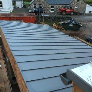 Stainless Steel Cills & Zinc Roof